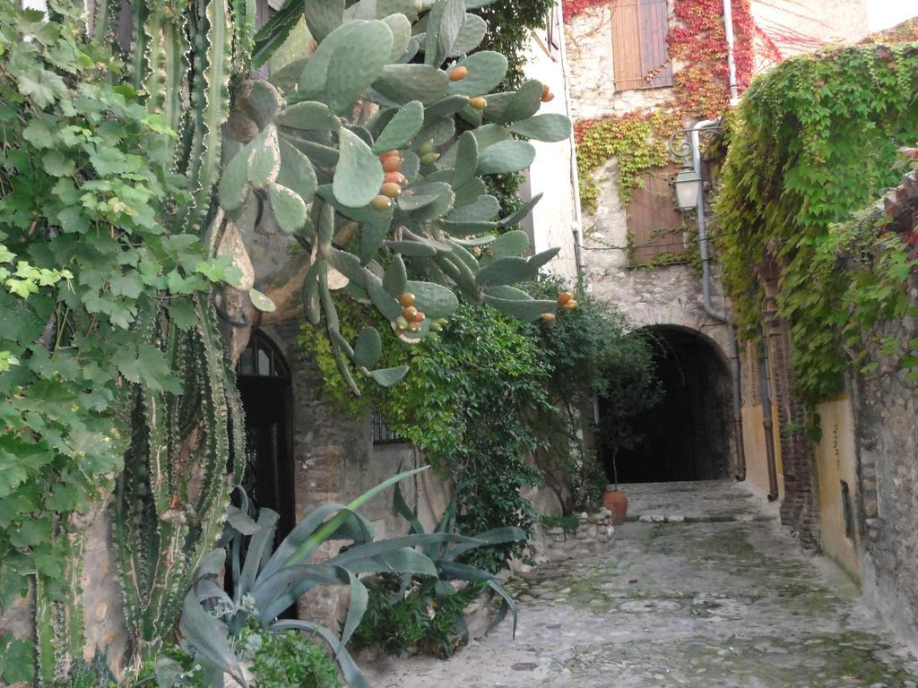 Les Grimaldines - Maison D'Hotes Cagnes-sur-Mer Cameră foto